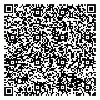 vCard 79513375305