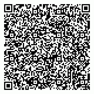 vCard 79513375309
