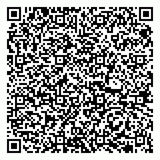 vCard 79513375310