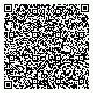 vCard 79513375311