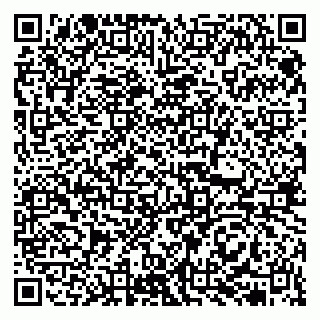 vCard 79513375313