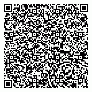 vCard 79513375314