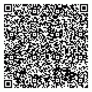 vCard 79513375316