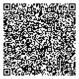 vCard 79513375318