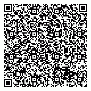 vCard 79513375330