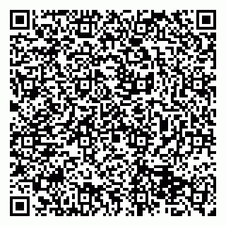 vCard 79513375331