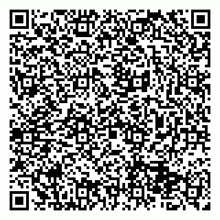 vCard 79513375332