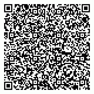 vCard 79513375335