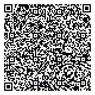 vCard 79513375340