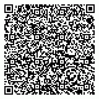 vCard 79513375352