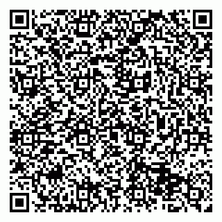 vCard 79513375360