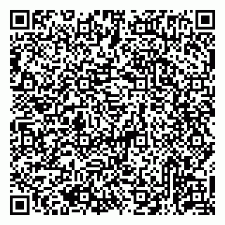 vCard 79513375365
