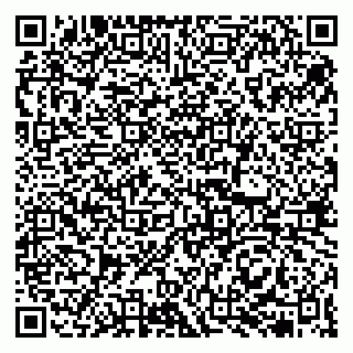 vCard 79513375369