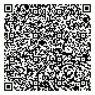 vCard 79513375371