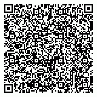 vCard 79513375374