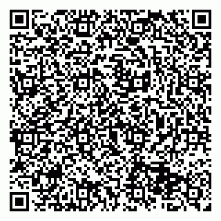 vCard 79513375381