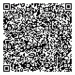 vCard 79513375382