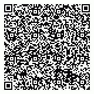vCard 79513375383