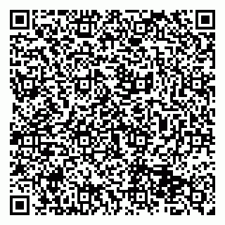 vCard 79513375384