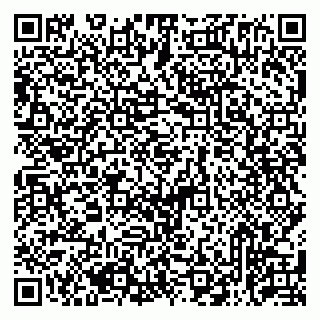 vCard 79513375385