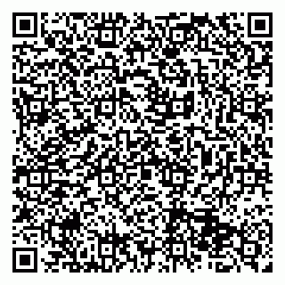 vCard 79513375386
