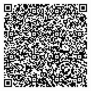 vCard 79513375387