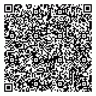 vCard 79513375390