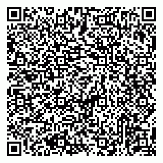 vCard 79513375393