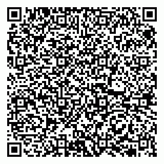 vCard 79513375394