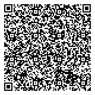vCard 79513375397