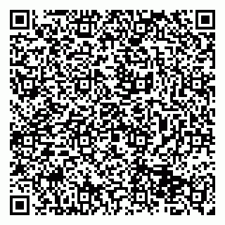 vCard 79513375399