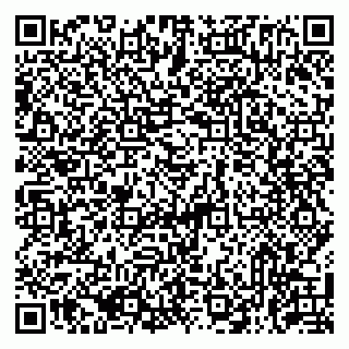 vCard 79513375400
