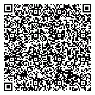 vCard 79513375408