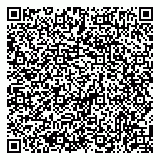 vCard 79513375409