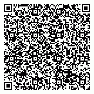 vCard 79513375410