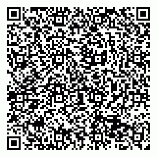 vCard 79513375411