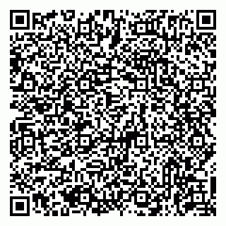 vCard 79513375428
