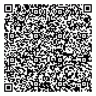 vCard 79513375433