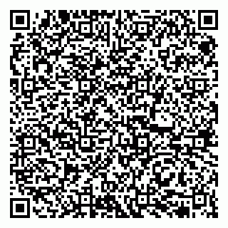 vCard 79513375450