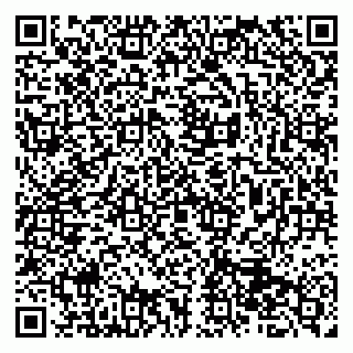 vCard 79513375488