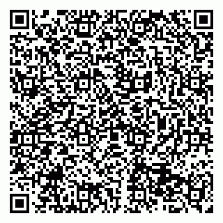 vCard 79513375497