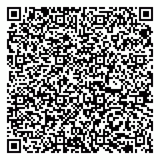 vCard 79513375500