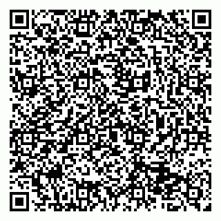 vCard 79513375501