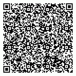 vCard 79513375503