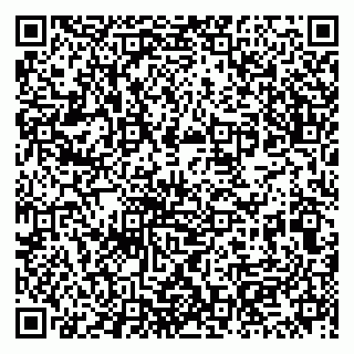 vCard 79513375529