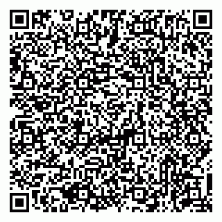 vCard 79513375531