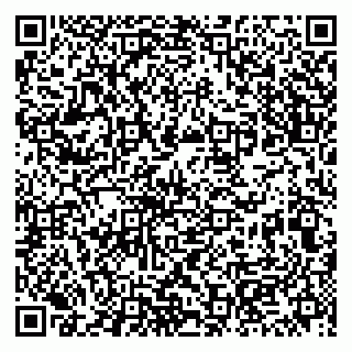 vCard 79513375534
