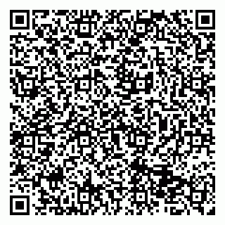 vCard 79513375537