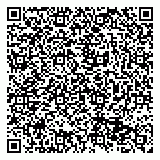 vCard 79513375552