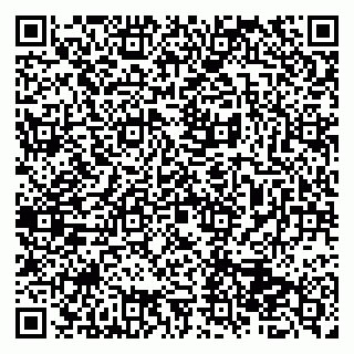 vCard 79513375581